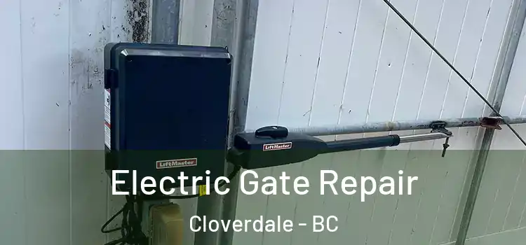  Electric Gate Repair Cloverdale - BC