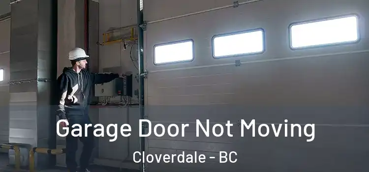  Garage Door Not Moving Cloverdale - BC