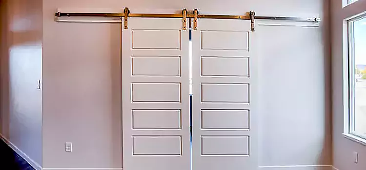 Glass Barn Door with Installation Hardware Kit Cloverdale