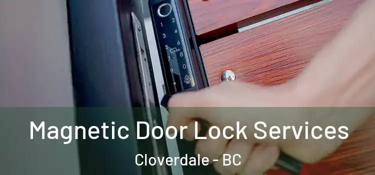 Magnetic Door Lock Services Cloverdale - BC