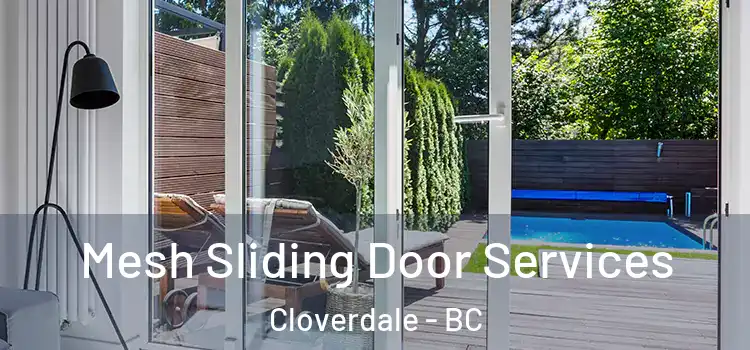 Mesh Sliding Door Services Cloverdale - BC
